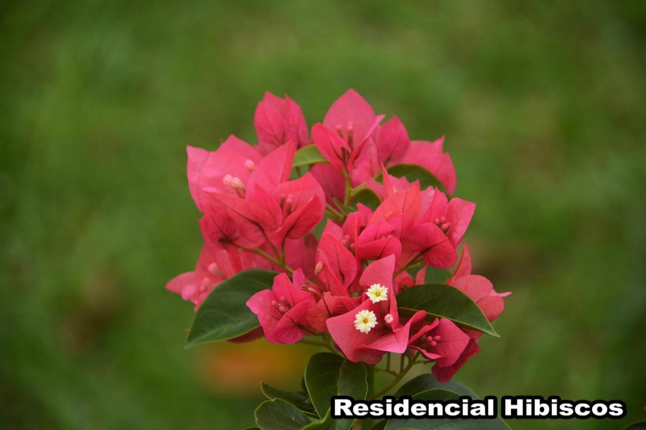 가로파바 Residencial Hibiscos - Vista Mar 빌라 외부 사진